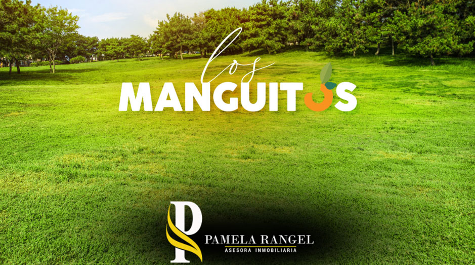 LOS-MANGUITOS-1