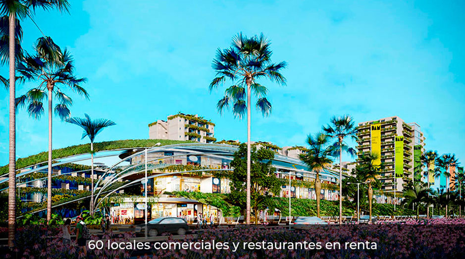 PARQUE-PIMIENTA