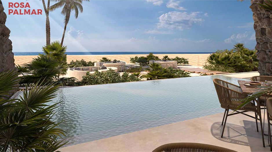 ROSA-PALMAR-1